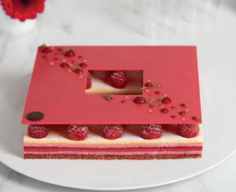 Raspberry Opera Cake ~ two sugar bugs